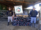 Secuestraron más de 300 kilos de carbón vegetal transportados sin guía