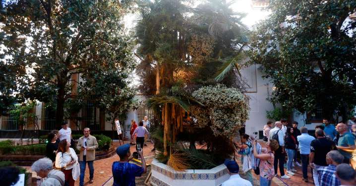 Tres palacios, un Patrimonio de la Humanidad y un museo, escenarios de excepción de Flora 2025 en Córdoba