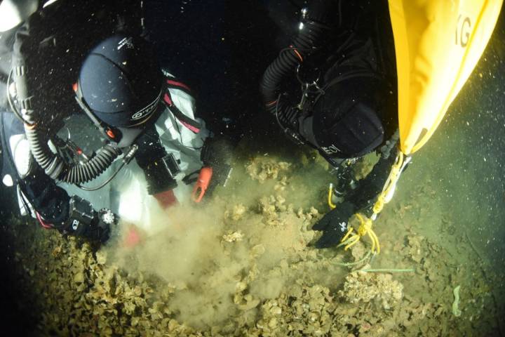 Divers recover artifacts from the Titanic's sister ship Britannic for the first time