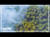 Here's why scientists say wildfire smoke is a major health threat