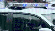 MPD: Son beat mom with branch, tried to throw her from balcony