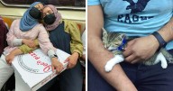 People Taking The Subway In New York Carry The Most Hilarious, Cute, And Weird Things In Their Hands