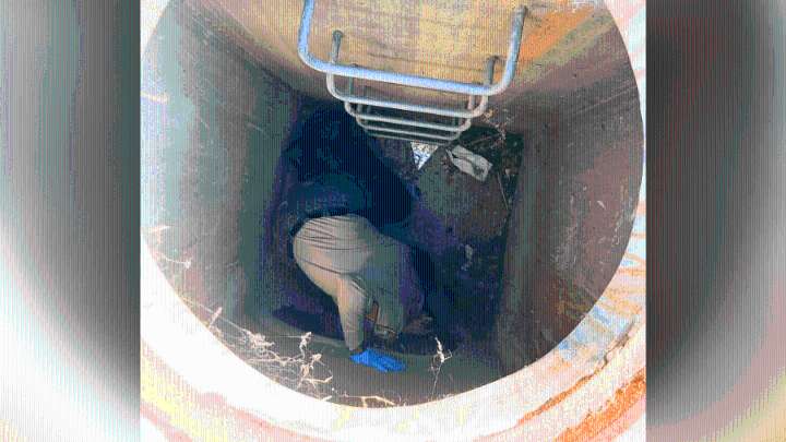 Mystery animal rescued after days in Southern California storm drain