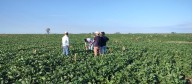 Certificaciones y trazabilidad marcan el rumbo de la nueva agricultura