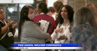 Yakima hosts Pacific Northwest Animal Welfare Conference