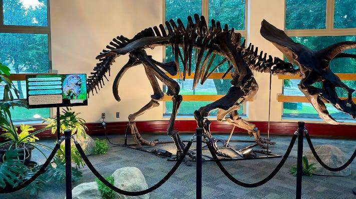 Name the life-sized Triceratops at MCPL and win a prize…