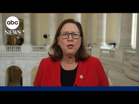 Republicans are 'willing to play chicken' on shutdown: Rep. Johnson