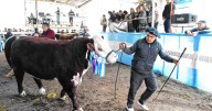 En la Expo de Río Colorado apuntaron contra el levantamiento de la barrera y se definió una estrategia tras el fallo de Tierra del Fuego