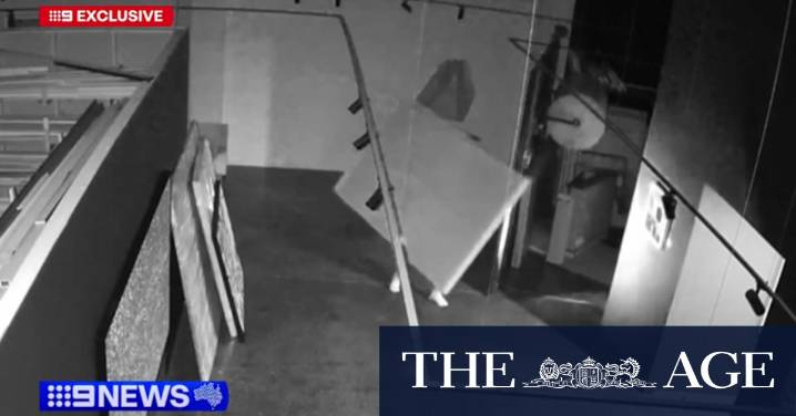 Priceless painting to raise funds for newborn care stolen in brazen heist