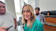 PVEM se deslinda de la denuncia que interpuso Itzel Mendo contra Sandra Pedroza