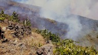 Un paisaje vitícola medieval a la vista tras el fuego que se detuvo en O Eivedo