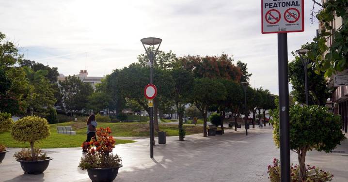 Estepona inicia los trámites para aprobar una ordenanza de patinetes eléctricos