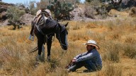 “¡Fierro pariente!” ¿Por qué se usa esta expresión en la música de banda?