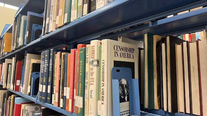 Florida’s culled library book list may be an ‘undercount,’ critics say