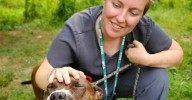 AWLA Launches Fall Dog Training Classes