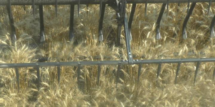 ND pushes to lead nation in Autonomous Agriculture Technology with grant program