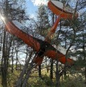 Plane crashes nose-down into trees in Manistee County