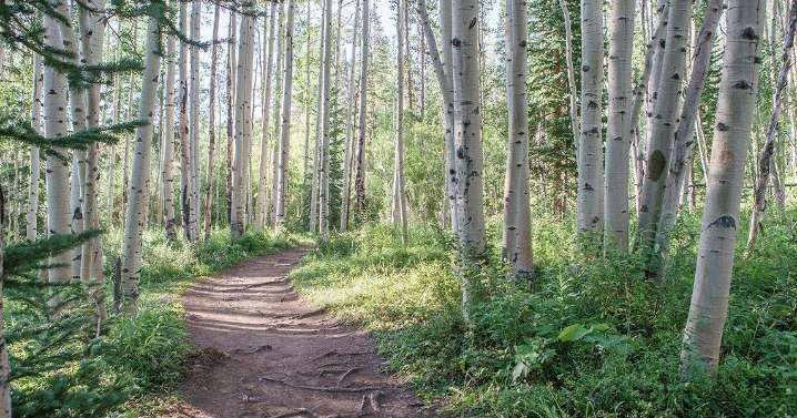 Warrant issued for New Mexico horse rider who threatened hikers on Colorado trail