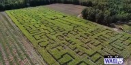 A Cooper Flagg corn maze, pumpkins and more await locals at Thunder Road Farm
