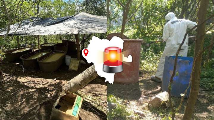 Desmantelan laboratorios clandestinos en Durango y aseguran más de 20 toneladas de drogas