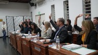 Tras el triunfo de Fuerza Patria, así queda conformado el HCD
