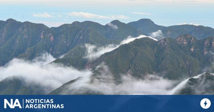 La Corte Suprema condenó al Estado nacional y a Jujuy por daño ambiental en el Parque Nacional Calilegua