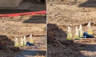 Hallan cuatro bombas molotov en primaria de Hermosillo
