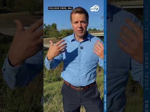 Crashes involving e-scooters are on the rise around the DMV