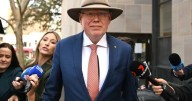 Rapist MP's 'fall from grace' as victim tells of pain