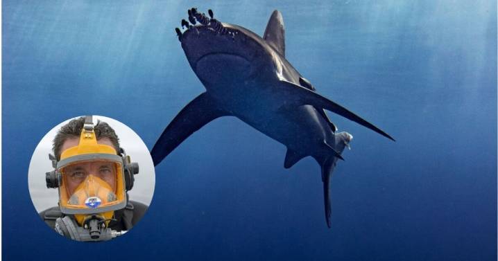 Famoso biólogo mexicano sufre ataque de tiburón en Costa Rica