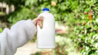 Don't Throw Out Old Milk Jugs: Reuse Them To Save Your Garden Plants