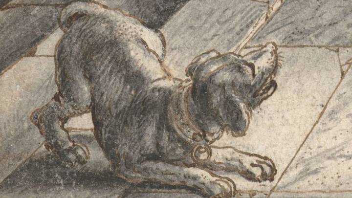 Dog in Rembrandt’s ‘The Night Watch’ was copied from widely available book, suggests new research