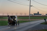 Dad, 3-year-old remain in coma after crash into horse and buggy that killed 2 kids