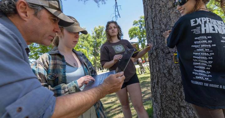 NAU’s tree inventory project brings intensive research to carbon sequestration on university campuses