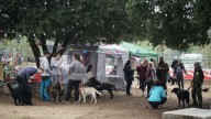 Vuelve la 'Fiesta del Perro', un aula al aire libre para aprender sobre bienestar y educación canina