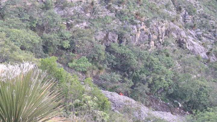 Cae auto en “Balcón del Chihue”, muere mujer y rescatan a dos heridos