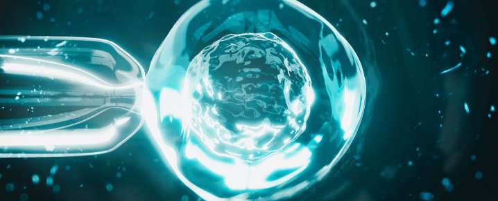 Working Egg Cells Made Using DNA From Human Skin in World First