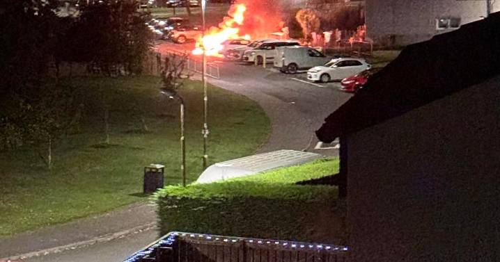 Car goes up in flames near primary school as locals woken by 'gun