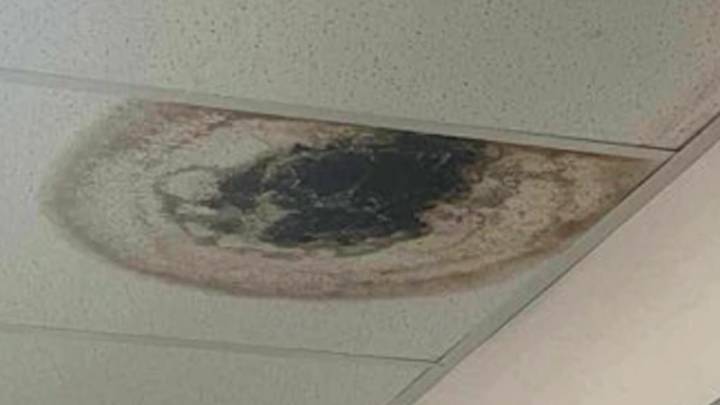 Parents, teachers, worry mold is making students sick