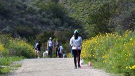 What you can do in your 40s to reach your 80s in good health