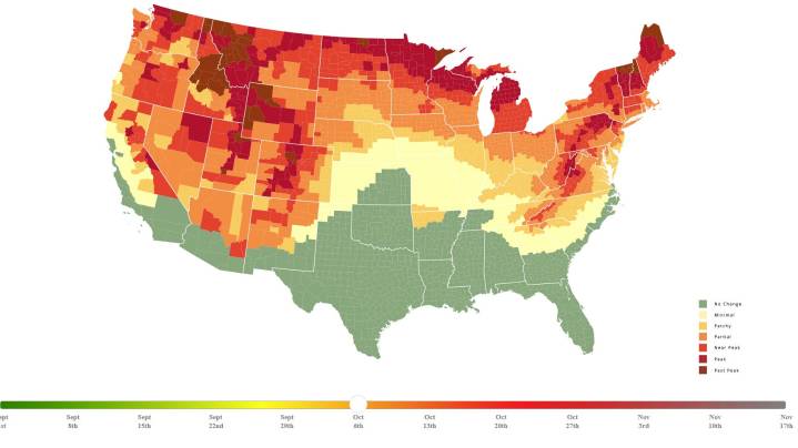 Here's when Michigan's fall colors are projected to appear this year