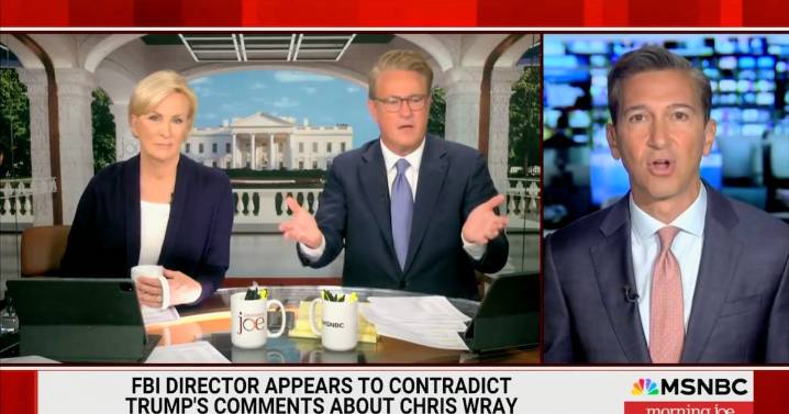 ‘Morning Joe’ Host Joe Scarborough Loses It Over Donald Trump’s ‘Dumber and Dumber’ Revenge Plots