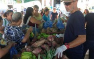 Senadora denuncia estafas y abusos en los mercados familiares