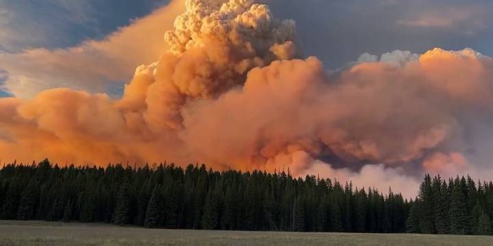 Firefighter dies while battling Dragon Bravo Fire near Grand Canyon North Rim