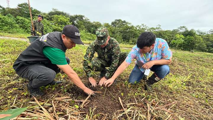 Ejército Nacional siembra más de 33.500 árboles en un minuto