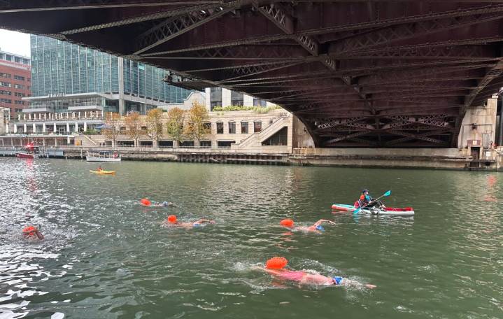‘A Really Monumental Day’ for Chicago River: Clean Enough for Hundreds to Swim In