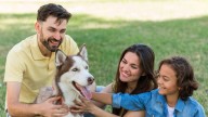 Perrhijos: una tendencia creciente en las familias mexicanas