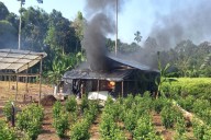 Loreto: acción policial permite erradicar más de 100 hectáreas de hoja de coca ilegal