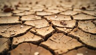 Irak lanzó un plan de inversión para enfrentar el cambio climático