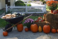 Experience old-fashioned fun at Historical Society’s Harvest Festival: Talk of the Towns